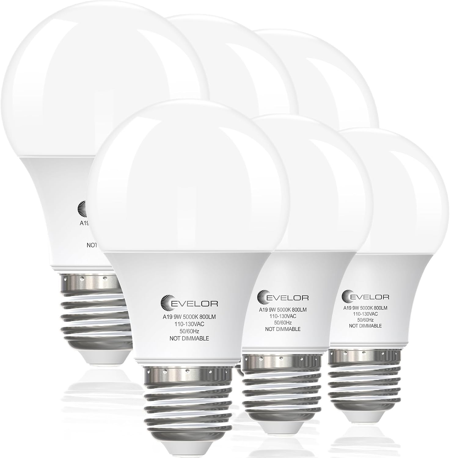 evelor 6-Pack A19 LED Light Bulbs,60 Watt Equivalent,Daylight 5000K | Efficient 9W,800 Lumens,Non-Dimmable,E26 Standard Base LED Bulbs,15000 Hours, Ideal for Bedroom Living Room Evelor A19 LED Bulbs 5000K